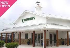 Calloway's nursery on greenville in dallas is the place to find your inspiration with our curated plant selection, chosen for superior performance in texas gardens. Calloway S Nursery Dallas Tx Garden Center Plant Shop