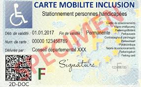 À cette date, il se substituera définitivement au formulaire cerfa 13788*01. Carte Mobilite Inclusion Conditions D Obtention Droits Et Avantages Access Market