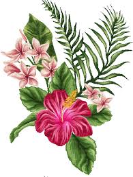 Check spelling or type a new query. Dolceluna Animated Flower Tropical Summer Gif Dolceluna Animate Tropical Pink Flowers Flower Gif Picmix