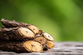 Image result for Cryptolepis apiculata