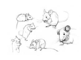 Kelly Murphy Illustration Secrets At Sea Character Designs Mouse Illustration Animal Drawings Mouse Drawing
