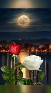 Noche Paisajes De Noche Arte Cielo Rosas Bonitas