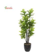 Both common species such as the apple, cherry, apricot can be found here, as well as more unique selections like quince, and medlar. China Fruit Tree Nursery Fruit Tree Nursery Manufacturers Suppliers Price Made In China Com