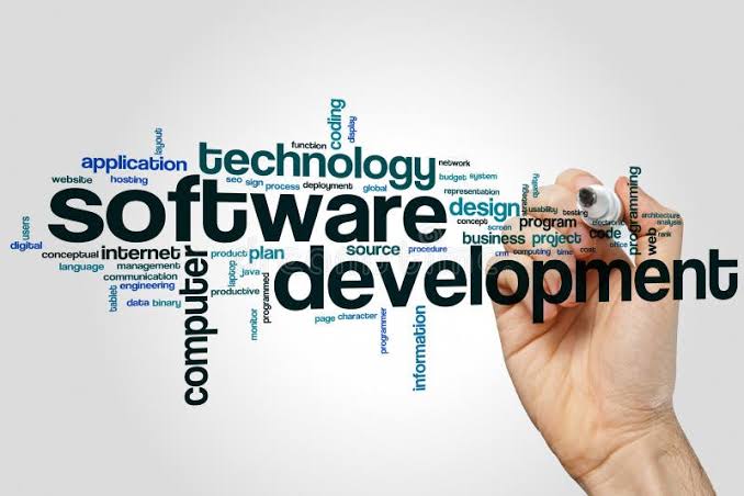Software development team working on custom ERP system