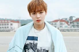 He is known for his participation in the reality competition show produce 101 season 2, where he finished in second place overall and became a member of the boy group wanna one. Tunjukan Chemistry Dengan Lawan Mainnya Park Ji Hoon Dapat Peran Utama Di Drama Love Revolution Pikiran Rakyat Tasikmalaya