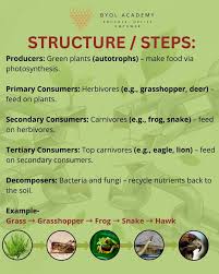 A food chain shows how energy flows through nature from producers to  consumers and decomposers revealing the delicate balance that sustains  ecosystems and all life on Earth. . . . . . . . . . . . . . [