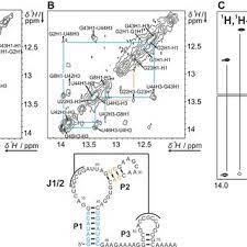 1088 reviews of truluck's ocean's finest seafood & crab what an amazing experience the service was top notch and everything tasted great the crab cakes were the best i have ever had and i've been to maryland several times the wedge salad came with a mound of thick bacon and delicious bleu cheese dressing right around now is when i wish my stomach had a reserve tank my fridge is now the proud. Imino Regions Of 1 H 1 H Noesy Spectra Of Zsw 48 A And Zsw 77 B Download Scientific Diagram