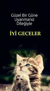 Kediler Dua Eder Mi