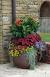 Potted Plant Arrangement Ideas