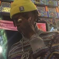 50 de umbre ale lui grey vol.1. Playboi Carti Aesthetic Instagram Rapper Pfp Novocom Top
