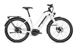 Schwer In Ordnung Ebikes Fur Kraftige Menschen Erfahrungen Und Tipps