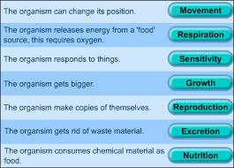 Mrs Gren Answers Biology Resources Gcse Science Teaching Science