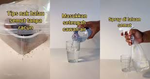 Caranya senang je, hancurkan kulit telur dan bakar sampai jadi abu. Video 2 Bahan Dari Dapur Ini Berkesan Nak Halau Semut Tanpa Guna Racun Berita Ku