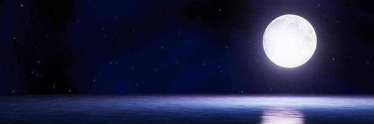 The blue full moon is reflected in the sea. A wave of water from the ocean  to island. The sky has many stars. Ripples on the sea at night. 3D  Rendering 6659990