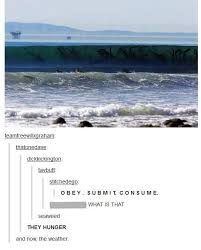 Seaweed This Seems Like Something That You Would Find In Night Vale Welcome To Night Vale Night Vale Tumblr Funny