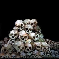 Pile Of Skulls Google Search Skull Sketch Skulls Drawing Skull Painting