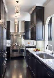 Lights Eclectic Kitchen Black Kitchen Cabinets Kitchen Remodel
