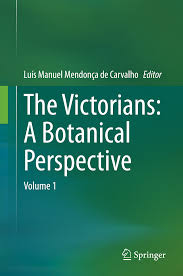 Image result for Tinnea antiscorbutica