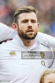 59 Sandra Daly Stock Photos, High-Res Pictures, and Images