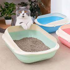  dạy mèo con đi vệ sinh