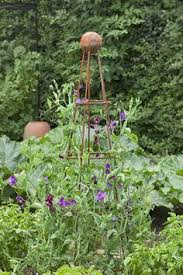 Check spelling or type a new query. 27 Clematis Support Ideas Clematis Garden Trellis Clematis Trellis