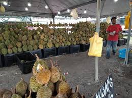Paya jaras dibuka pada awal 1930an. Foodpornmalaysia On Twitter Berita Baik Penggemar Durian 3longgok Rm 50 Ada Yang Rm40 Boleh Isi Penuh 1 Plastic Besar Buah Durian Isi Cun Cun Meyh Lokasi Paya Jaras Sungai Buloh