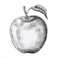 Download Premium Vector Of Hand Drawn Fresh Apple Vector 1200293 How To Draw Hands Apple Vector Drawing Apple