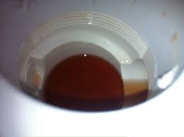 Odeur Bonde De Douche Clapet Anti Retour Resolu Forum Plomberie Linternaute Com