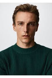 خرید اینترنتی پلیور مردانه لجنی مانگو 37025925