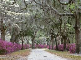Maybe you would like to learn more about one of these? Springtime In Savannah Georgia Usa Savannah Chat Beautiful Places Georgia Wallpaper