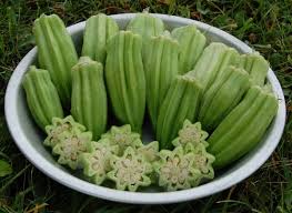 Resultado de imagem para quiabo e suas vitaminas