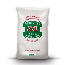 Dlf Kentucky 31 Tall Fescue Grass Seed 50 Lb 216ax0005uc 50 At Tractor Supply Co In 2021 Tall Fescue Tall Fescue Grass Fescue