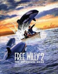 It's been two years since jesse saved and freed his orca friend, willy. Free Willy 2 The Adventure Home Wikipedia