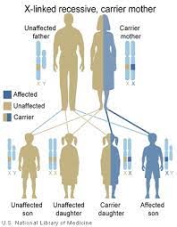 For a trait to be considered y linkage, it must exhibit these characteristics: X Linked Recessive Inheritance Treat Nmd