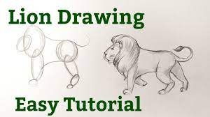 Animals step by step drawing instructions. How To Draw A Lion Drawing Easy Step By Step Drawing Animals Easy Step By Step For Beginners Youtube