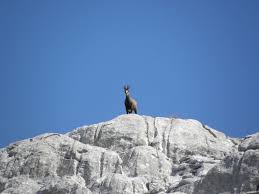 Javna ustanova nacionalni park sjeverni velebit krasno 96, 53274 krasno tel: Nationalpark Velebit Kroatien Besucher Und Anreiseinfo