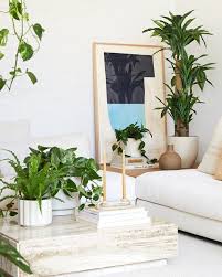 We did not find results for: 13 Of The Best Places To Buy Live Plants Online