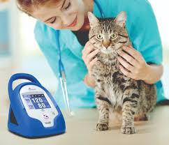 Blood pressure machines at walgreens. Suntech Veterinary Blood Pressure Monitors Have Landed
