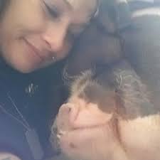 Laura Ashley "give us this day our daily Pig" ☺❤