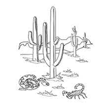 Prickly pear cactus coloring page | free printable coloring pages. Top 10 Cactus Coloring Pages For Toddlers