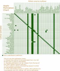 Apple Pollination Synchronization Chart 40 Download