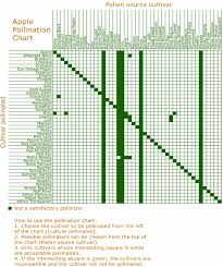 apple pollination synchronization chart 40 download