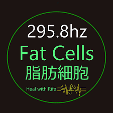 Powerful Fat Burning Frequency Pure 295.8 Hz Fast Weight Loss | Soundwise