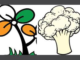 All india trinamool congress vector logo, free to download in eps, svg, jpeg and png formats. Kerala Polls Trinamool Gets Cauliflower As Poll Symbol Oneindia News