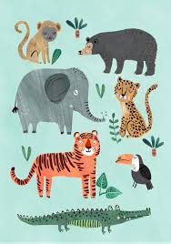 Wild Animals Poster 50x70cm Wildanimals Wild Animals Poster Illustriert Von Rebecca Jones 50 Animal Posters Animal Illustration Kids Animal Illustration