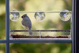 After all, you want to keep birds away from your windows, not close to them. How To Attract Birds To A Window Feeder Bird Feeder Hub