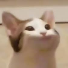 อัปเดต 10 อันดับเกม popcat คนไทยจิ้มแมวรัวๆ พุ่งติดอันดับ 2 แล้ว; Popcat