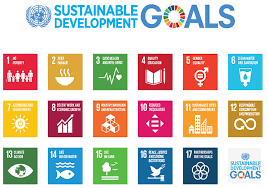 Advancing The Sustainable Development Goals Through Investor
