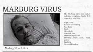Sporadic cases, small clusters, and large outbreaks have been reported in 24 countries, with over 2,500 cases of the virus and over 900 deaths, as of 2021. Marburg Virusthe By Mercedescollege023 On Emaze