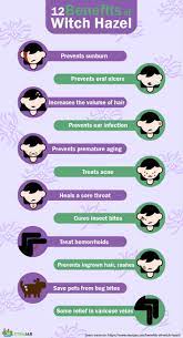 Witch hazel is an irritant. 12 Benefits Of Witch Hazel A Magic Potion That Can Heal Skin Stemjar
